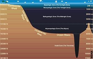 天津博瑞检测取得水下地形动态跟踪测量方法及系统专利(图1)