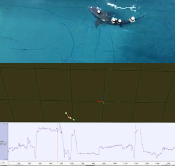 遂宁市水下检查-桥梁桩基潜水员水下探摸检