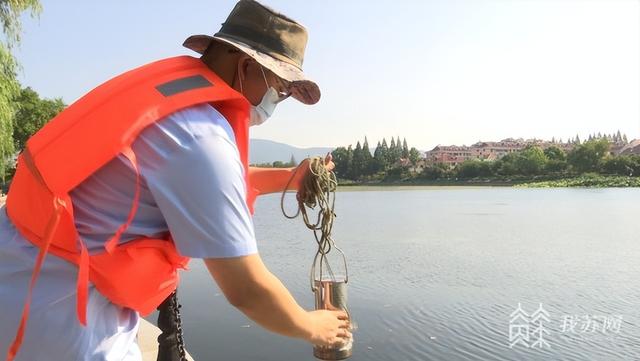 蛙人水下检测公司(图1)